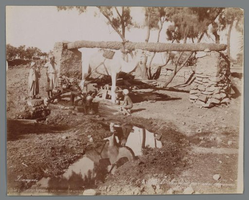 Two men, a child and a dromedary at a water wheel.
