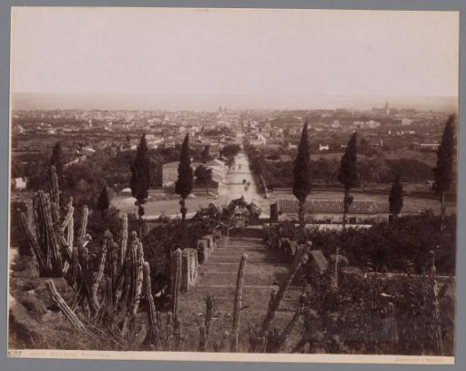 View of Catania with cacti and cypress trees in the foreground
