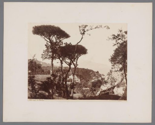 Landscape with Trees on Capri, Italy