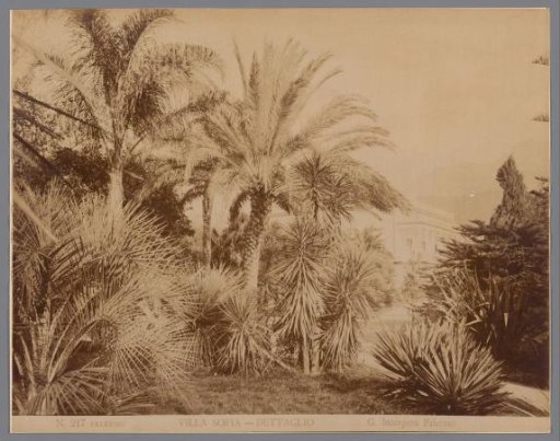 View of Villa Sofia in Palermo