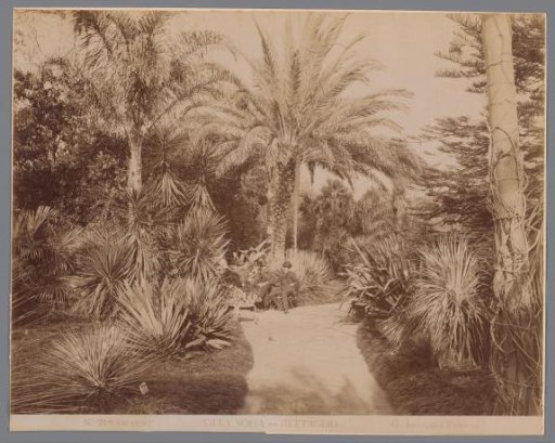 Four men in the garden of Villa Sofia in Palermo