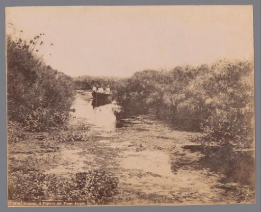 Rowing boat with a few people on the Anapo river near Syracuse, Sicily