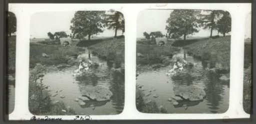 Ducks in a stream near Randanne, France