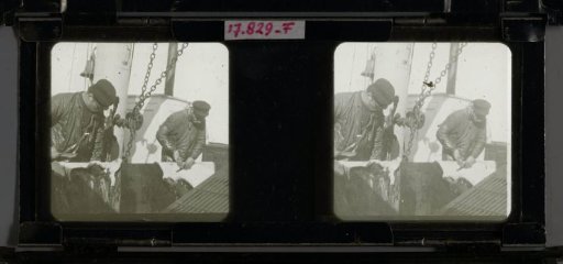 Men Cleaning Skins on the Deck of a Ship