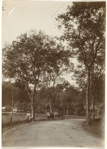Street View in the Dutch East Indies
