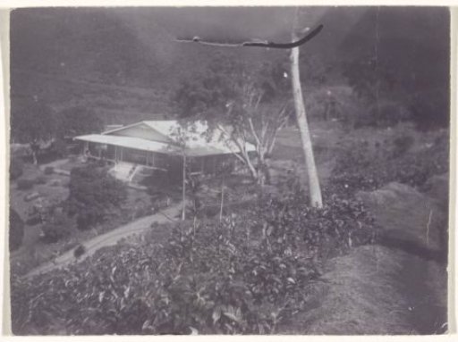 View of a House in the Dutch East Indies