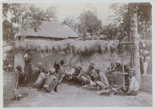 Cockfight on Bali
