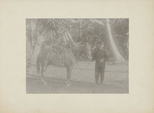 Portrait of an unknown soldier with horse in Dutch East Indies