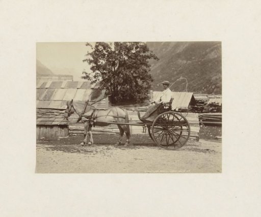 Horse and carriage in Norway