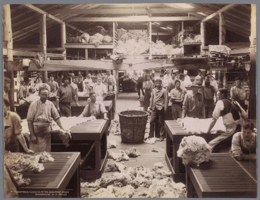 Workers sorting and processing wool in a factory in Burrawang