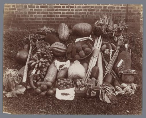 Still life of fruits and vegetables that grow in Sri Lanka