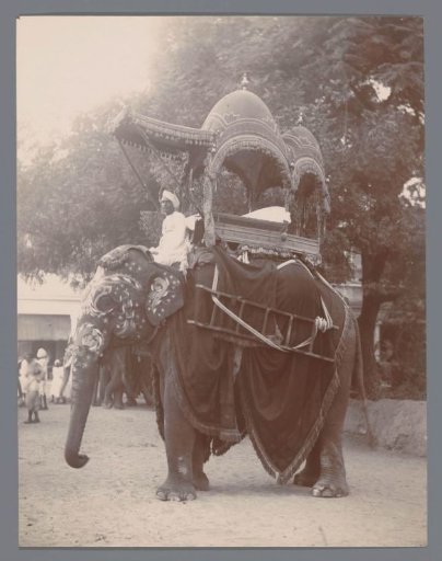 Royal transport by elephant in India