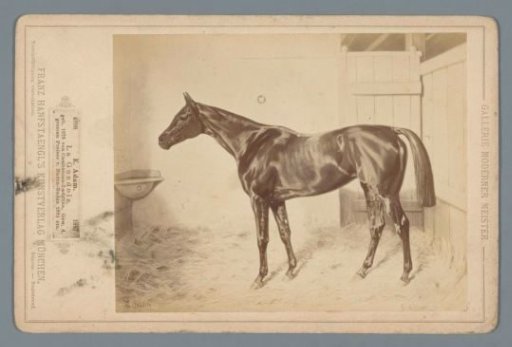 Photographic reproduction of a painting of the horse La Gondola