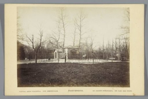 View of a Deer Park in Artis