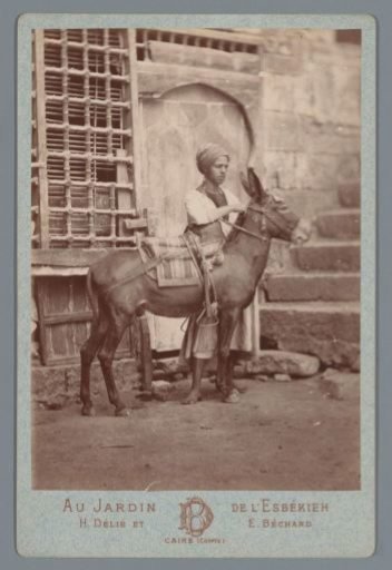 Boy with donkey