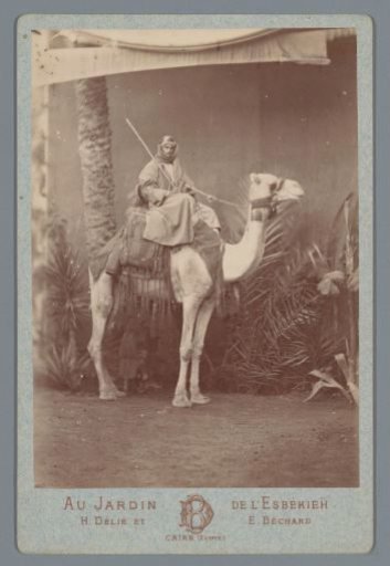 Man on a camel