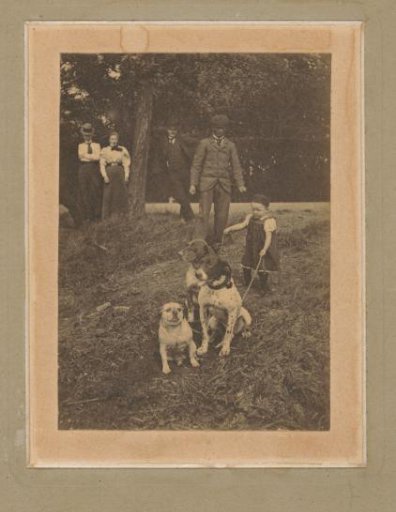 Scene Outdoors with a Child and Three Dogs, Four People Watching