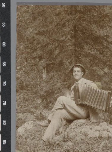 Man with an accordion in a forest