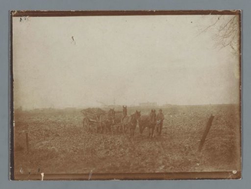 View of a meadow with a farmer and a horse-drawn cart