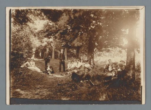 Group reclining in a forest