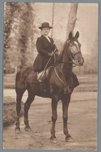 Portrait of Queen Wilhelmina on horseback