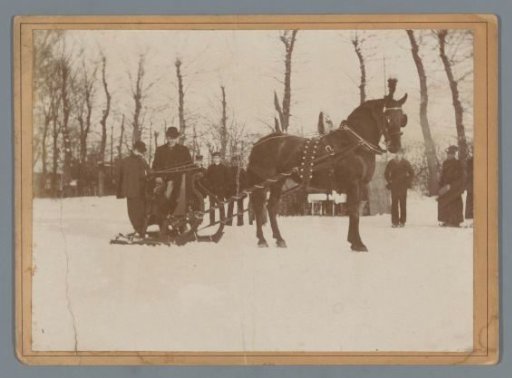 Sleigh with a Horse