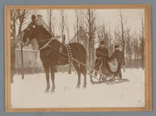 Sleigh with a Horse