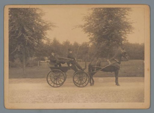 Horse-Drawn Carriage in the Vondelpark, Amsterdam