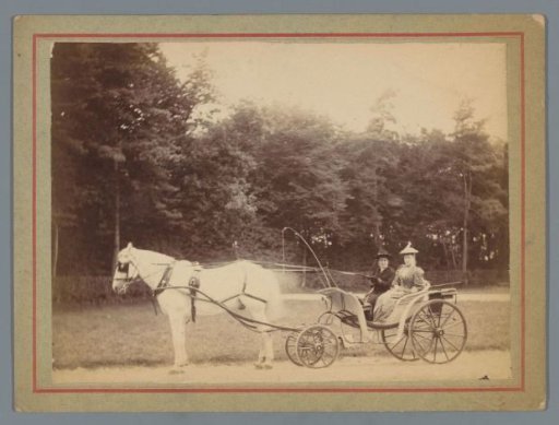 Two unknown women in a horse-drawn carriage
