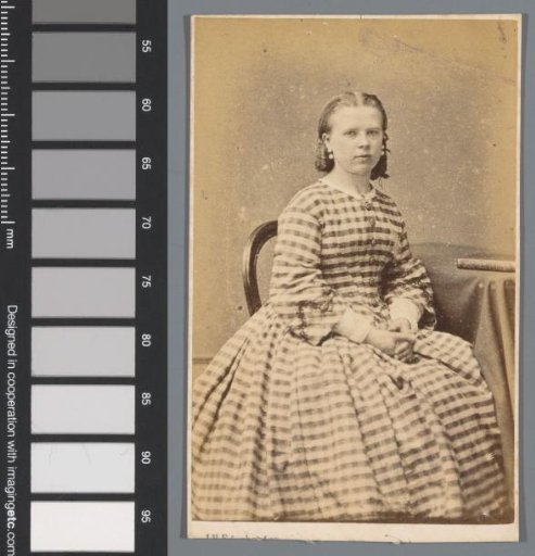 Portrait of an Unknown Woman