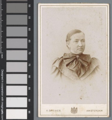 Portrait of an unknown woman