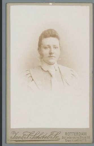 Portrait of an Unknown Woman