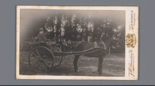 Portrait of an unknown man in a carriage with a horse