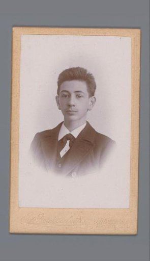 Portrait of an Unknown Young Man