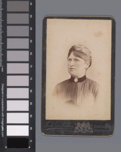 Portrait of an Unknown Woman