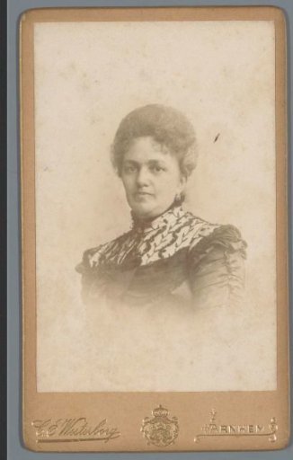 Portrait of an Unknown Woman