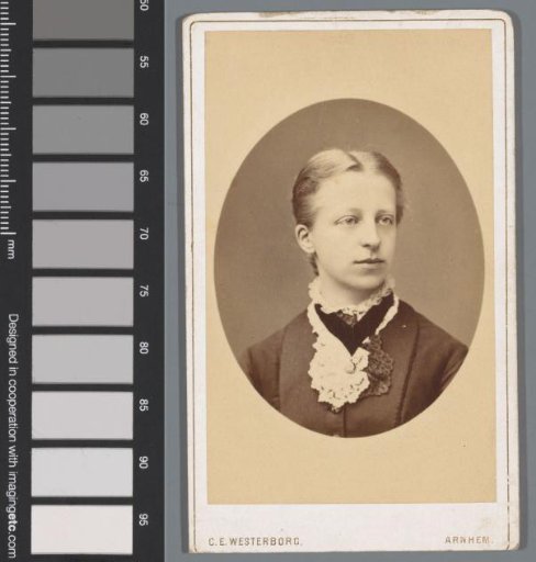Portrait of an Unknown Young Woman
