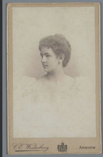 Portrait of an Unknown Young Woman