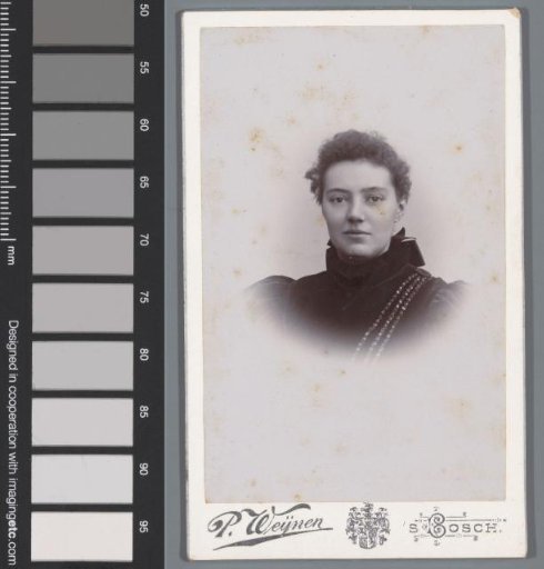 Portrait of an Unknown Woman