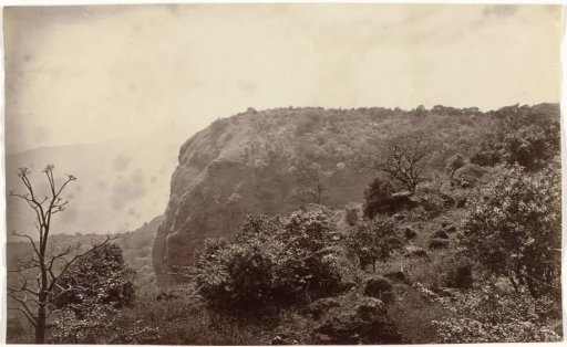 Landscape in the Nilgiri mountains, India