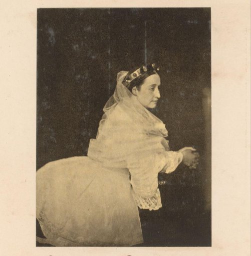 Portrait of Eugénie de Montijo