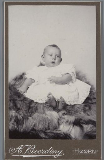 Portrait of Pieter Haan