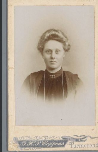 Portrait of an Unknown Woman