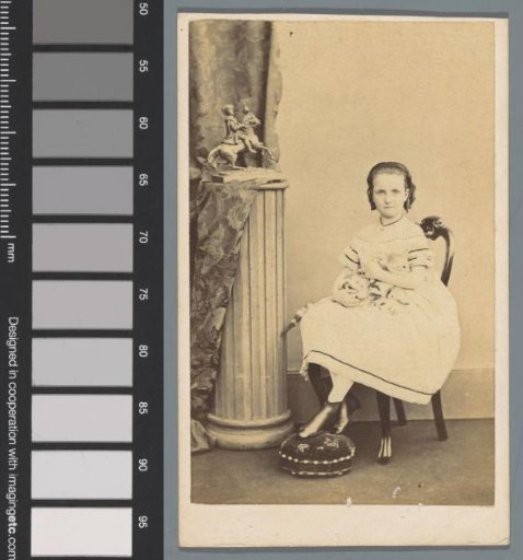 Portrait of an unknown girl with a cat