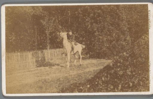 Rider on Horseback