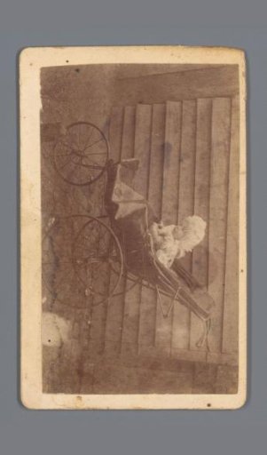 Child in a Carriage Before a Wooden Fence