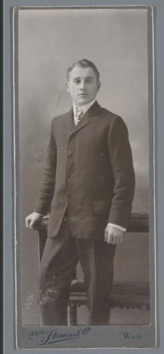 Portrait of an unknown young man
