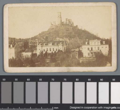 View of the Godesburg and Bad Godesberg