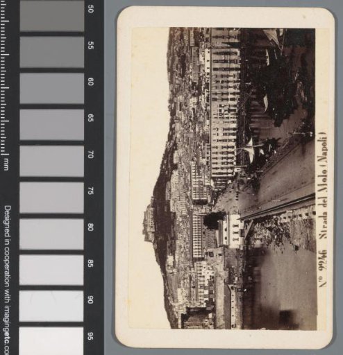 View of Naples and the Castel Sant'Elmo