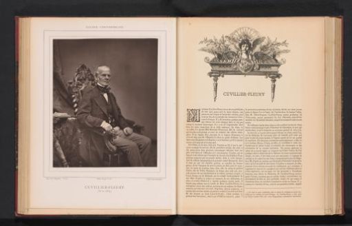 Portrait of Alfred-Auguste Cuvillier-Fleury